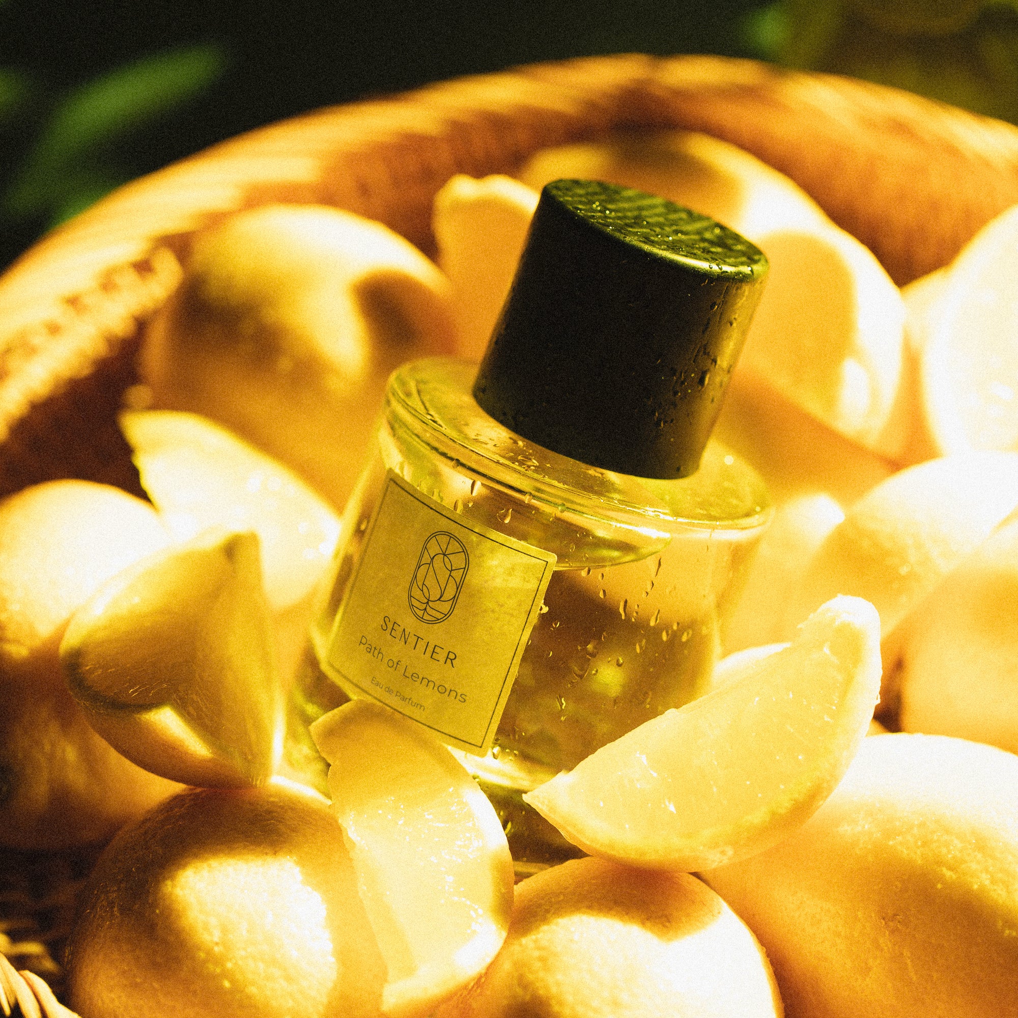 010922-Path-of-Lemons-126-Edit-1