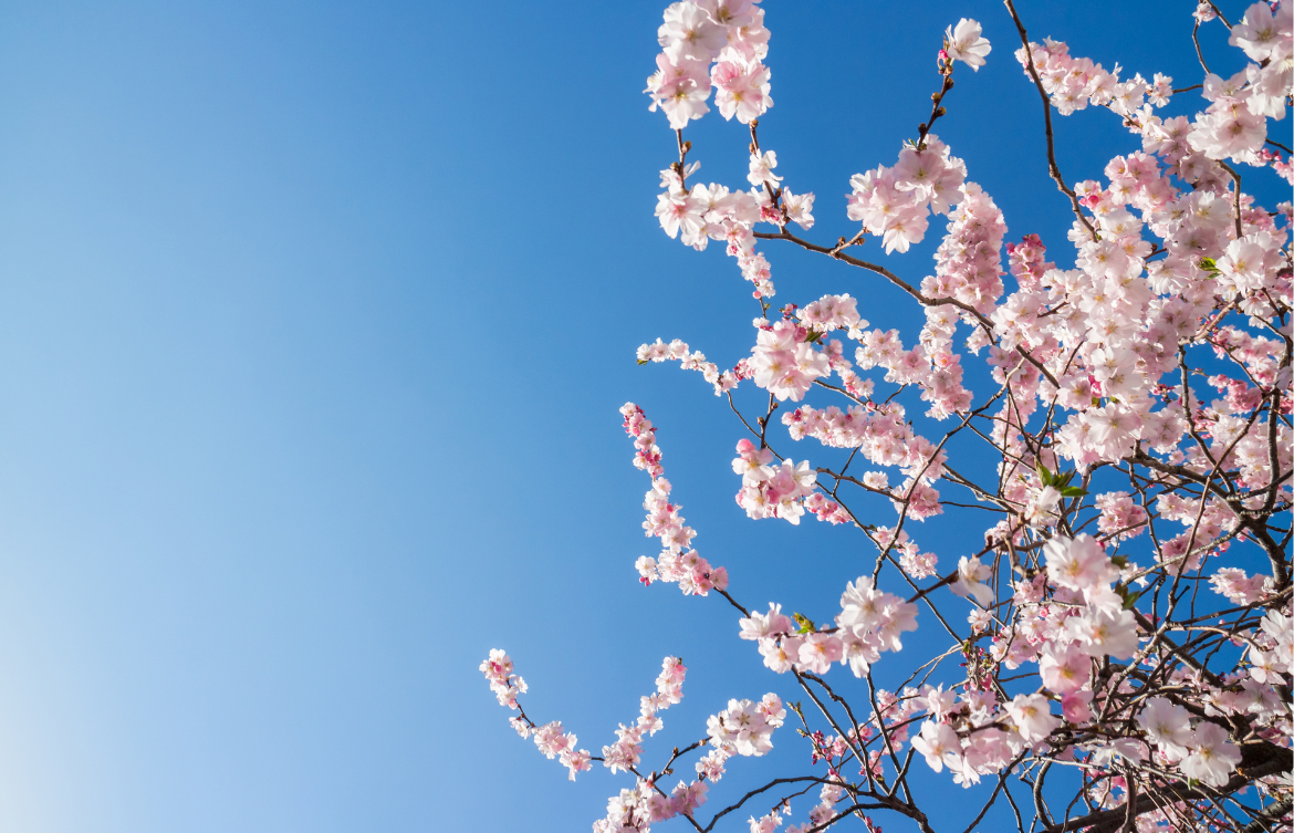 Spring Employee Favourites: Marketing Team’s Signature Scents