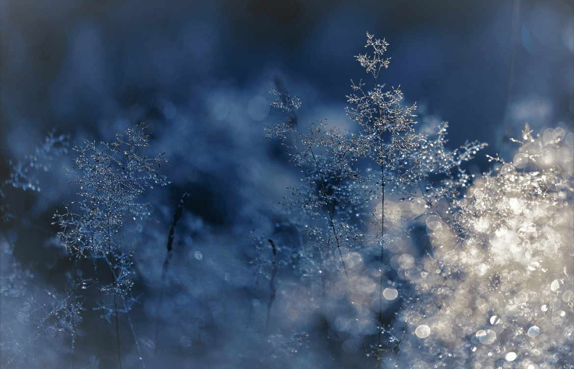 Untitled design (11)