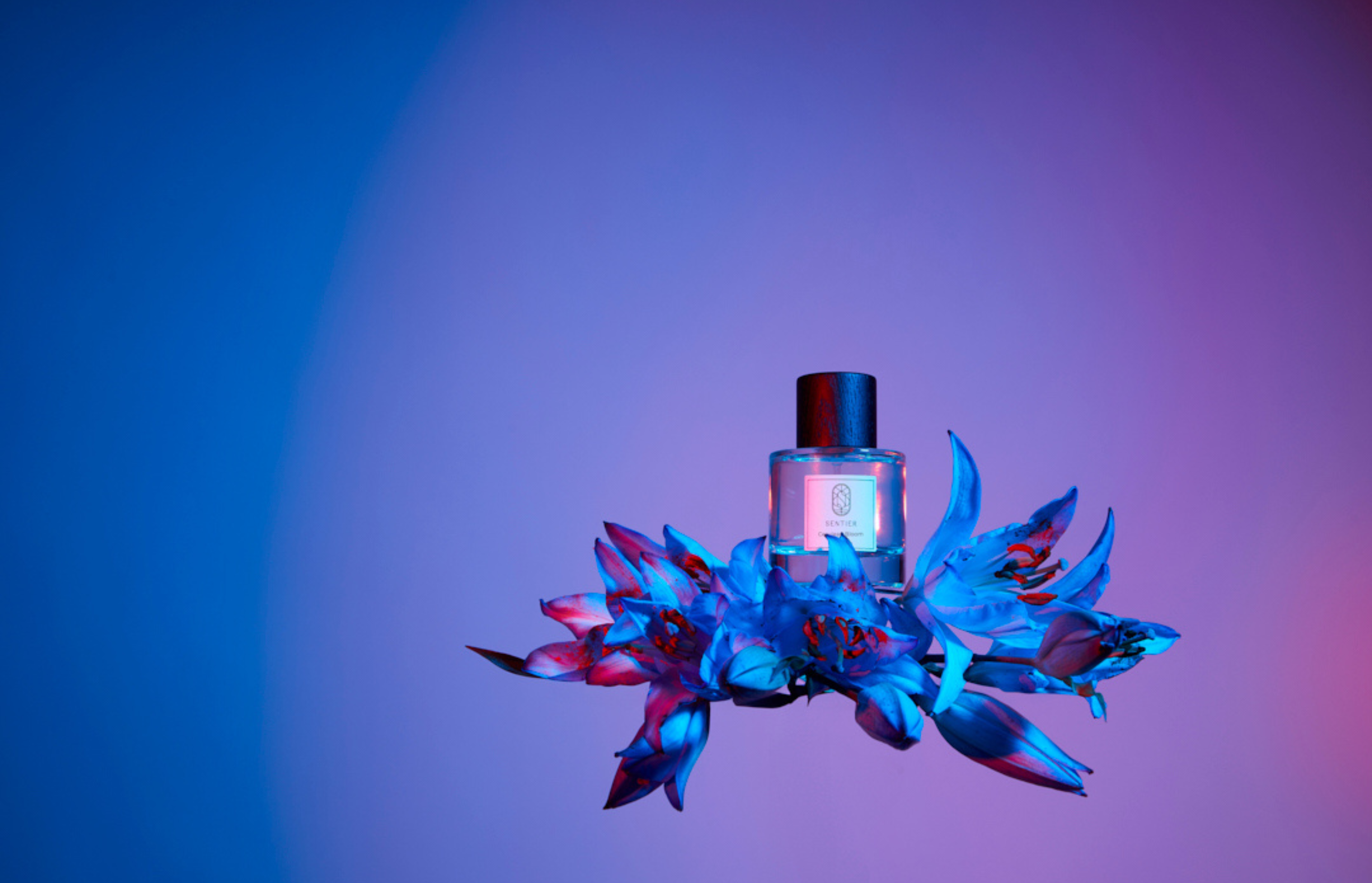 Untitled design (8)