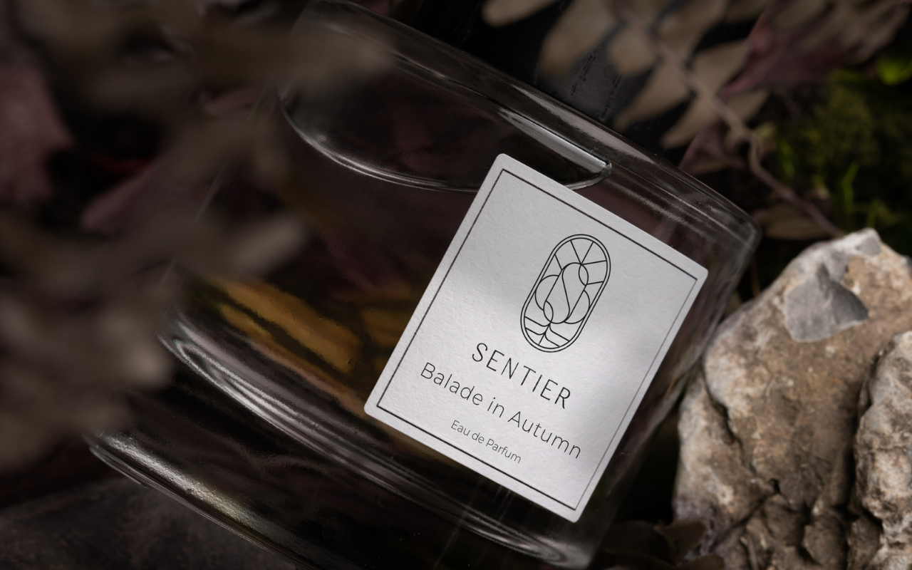 Sentier Balade in Autumn on rock and wood texture under autumn light