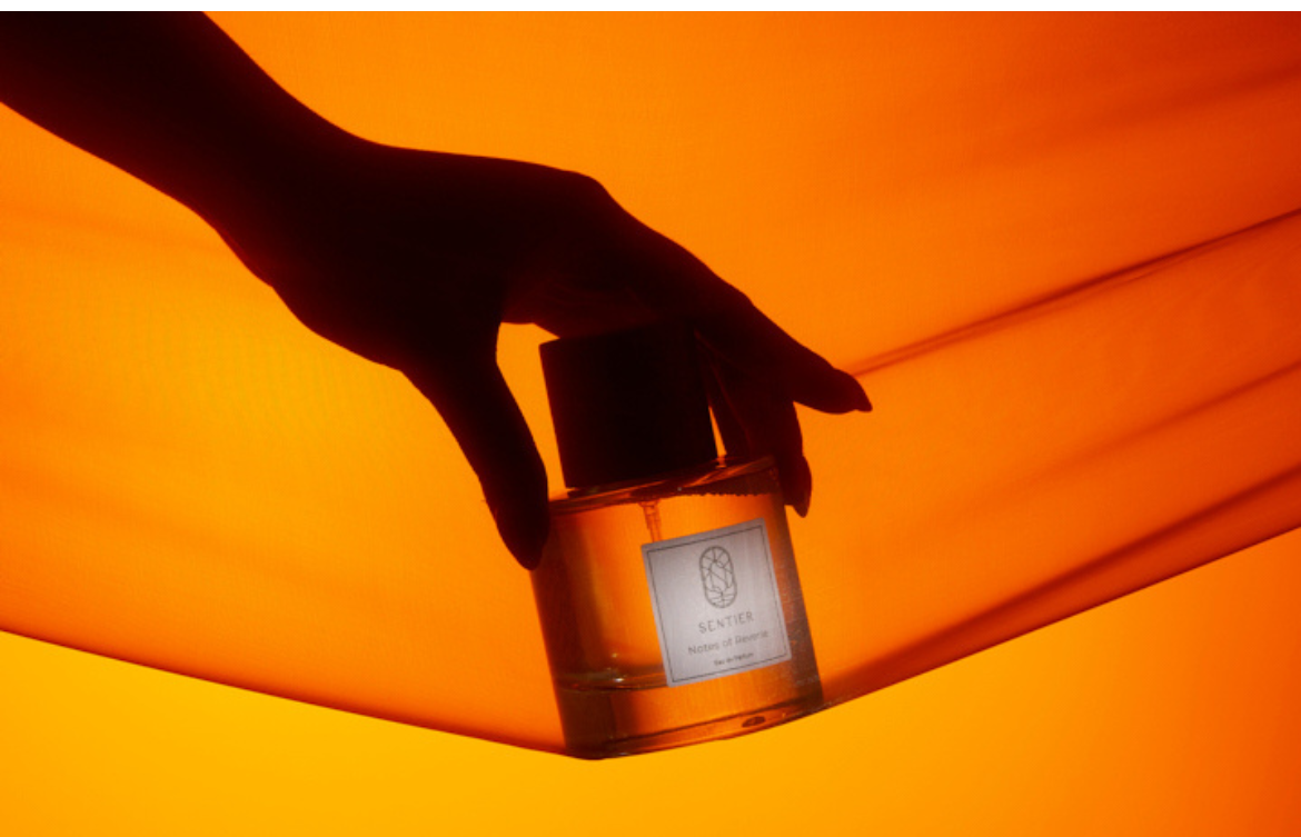 Discover the Most Attractive Fragrance Notes