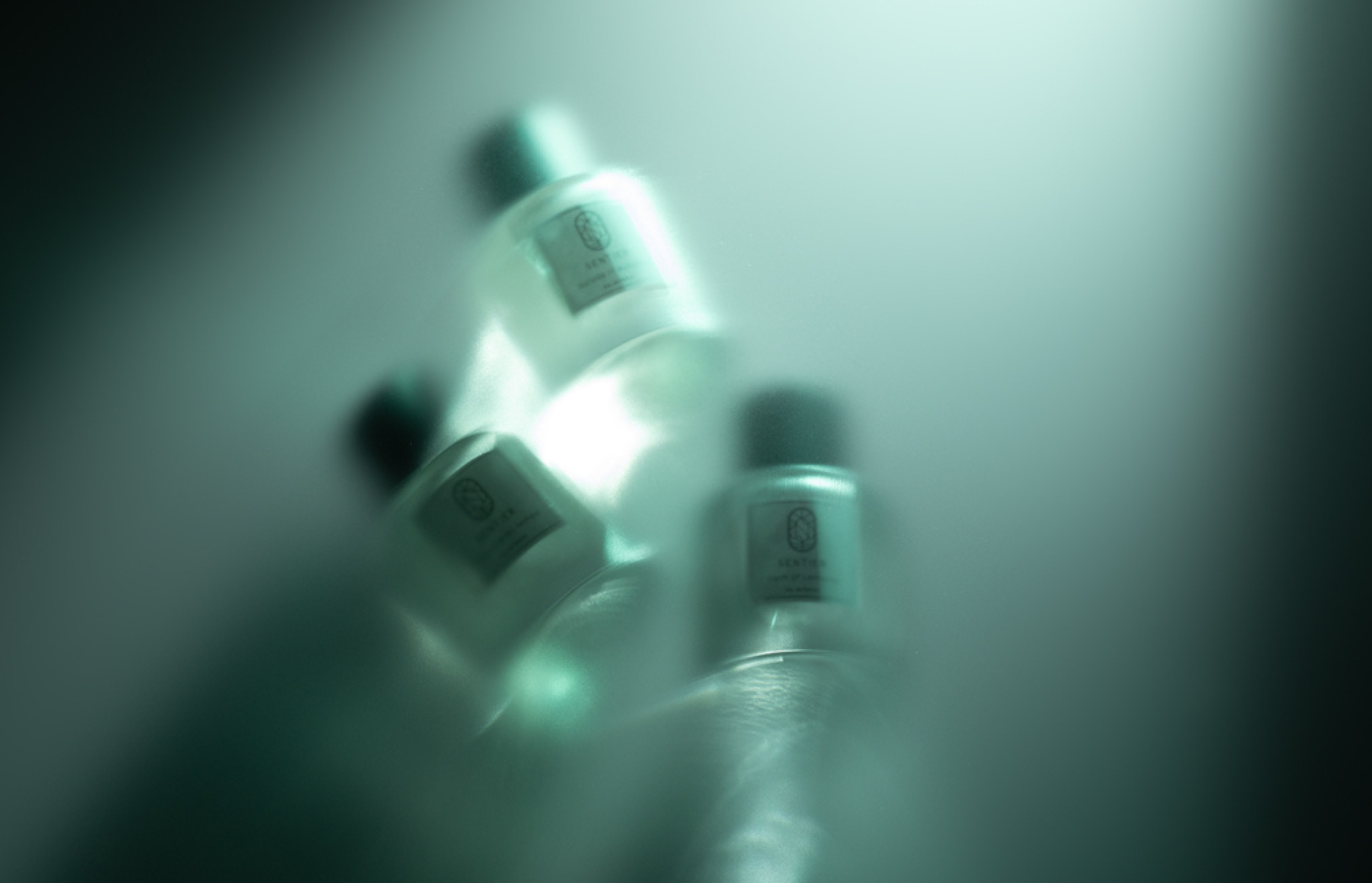 Untitled design (4)