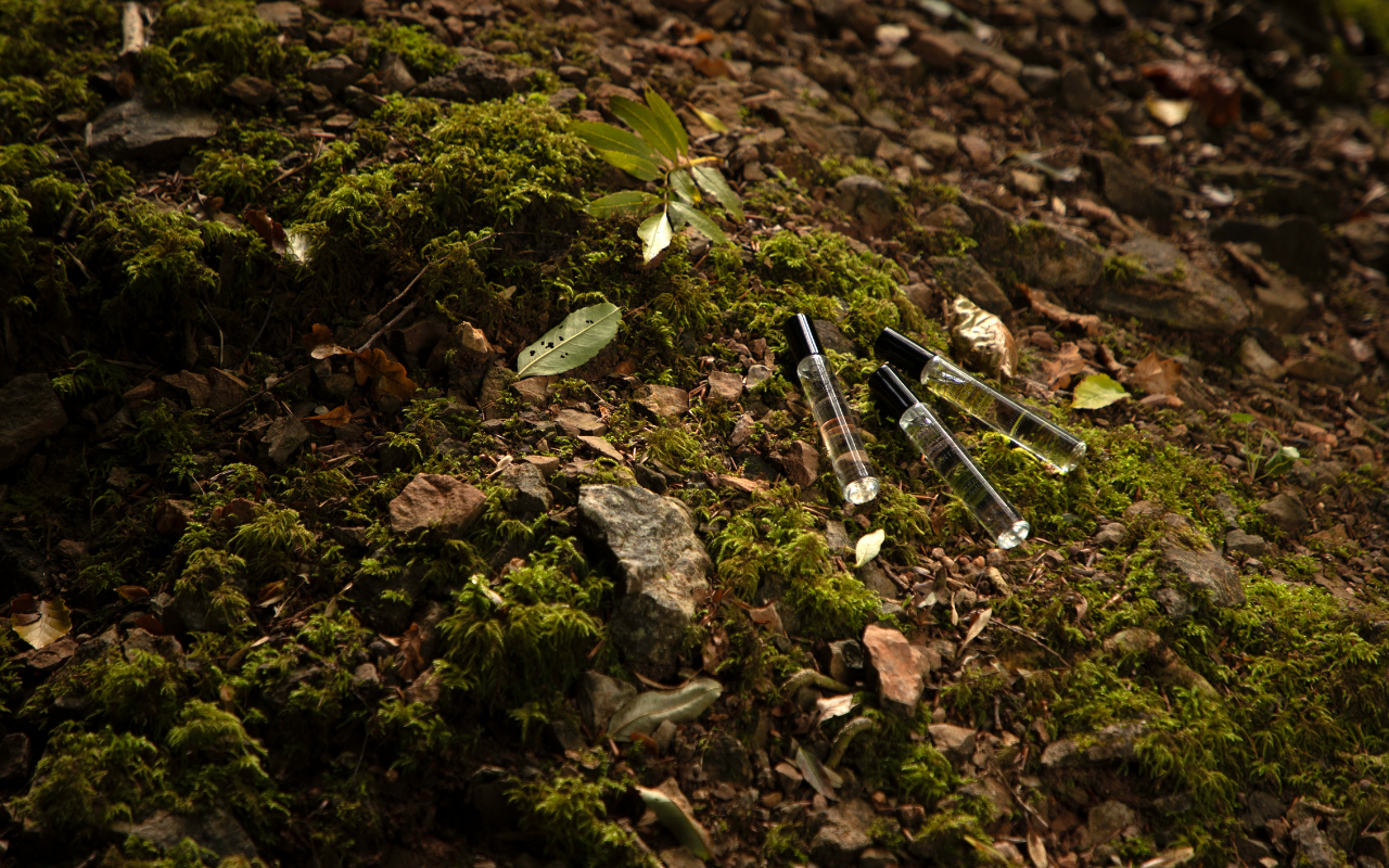 2026 Fragrance Trend Soft Woods and Quiet Depth