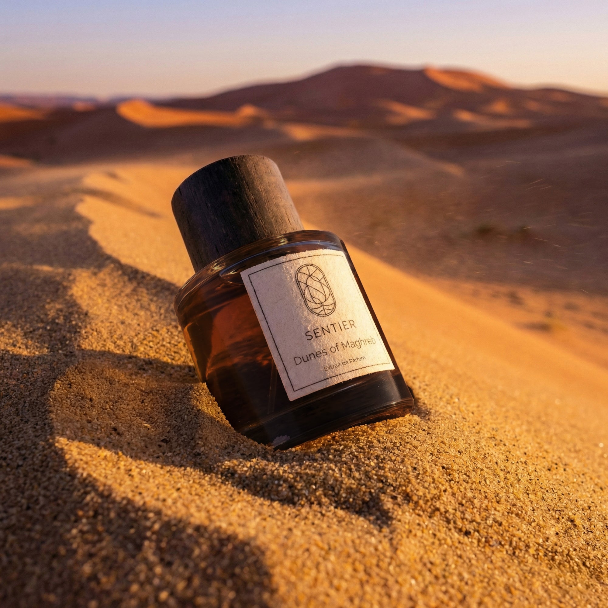 Dunes of Maghrib
