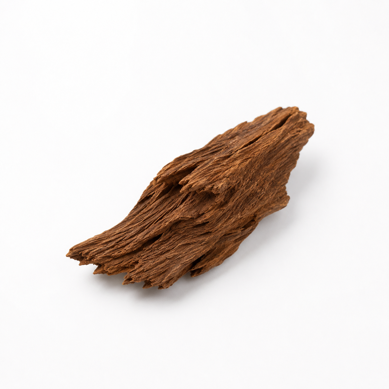 Balade in Autumn fragrance note: Cedar Wood