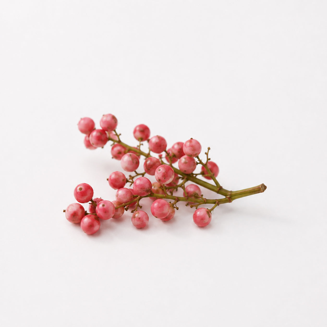 Rán fragrance note: Baie Rose