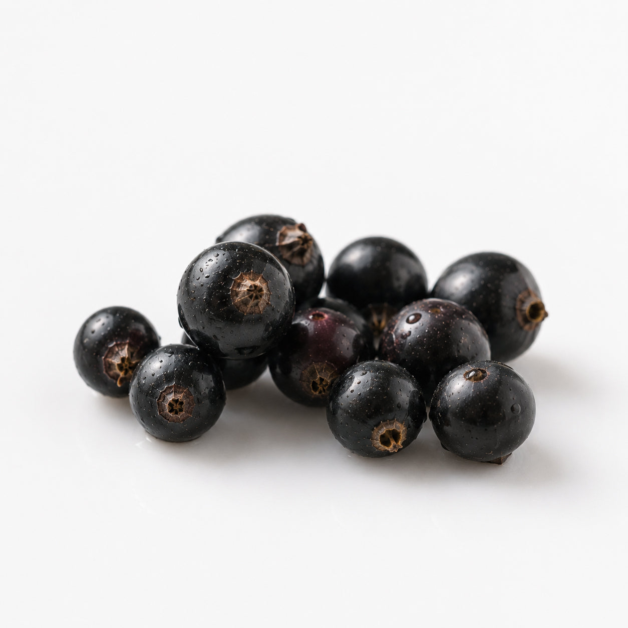 Le Marais fragrance note: Blackcurrent