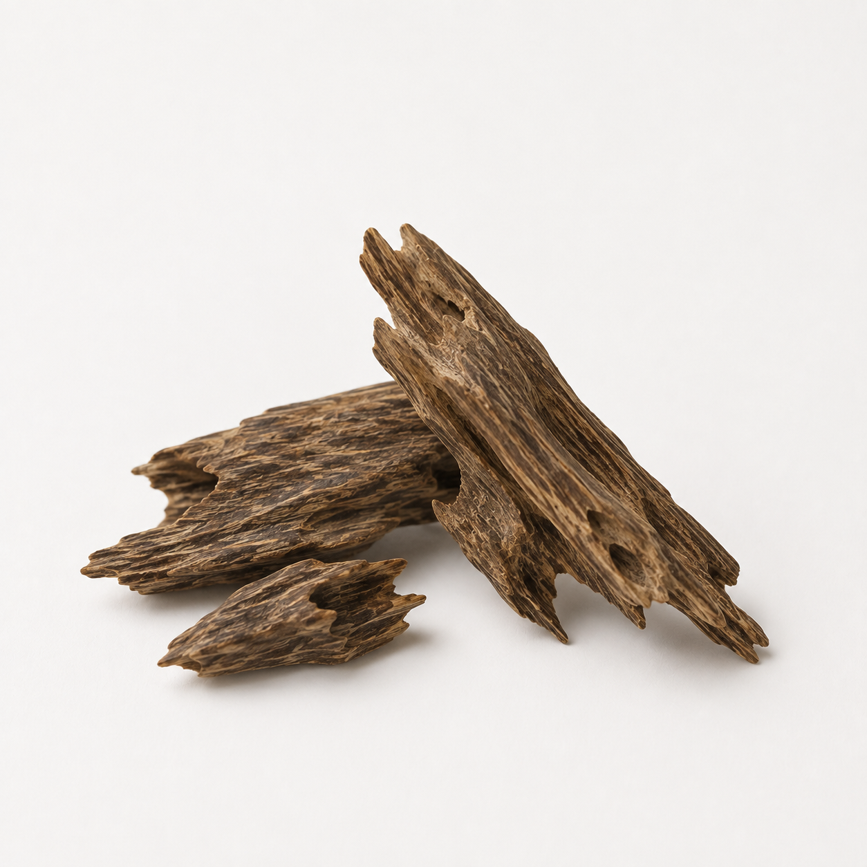 Fernway fragrance note: Agarwood