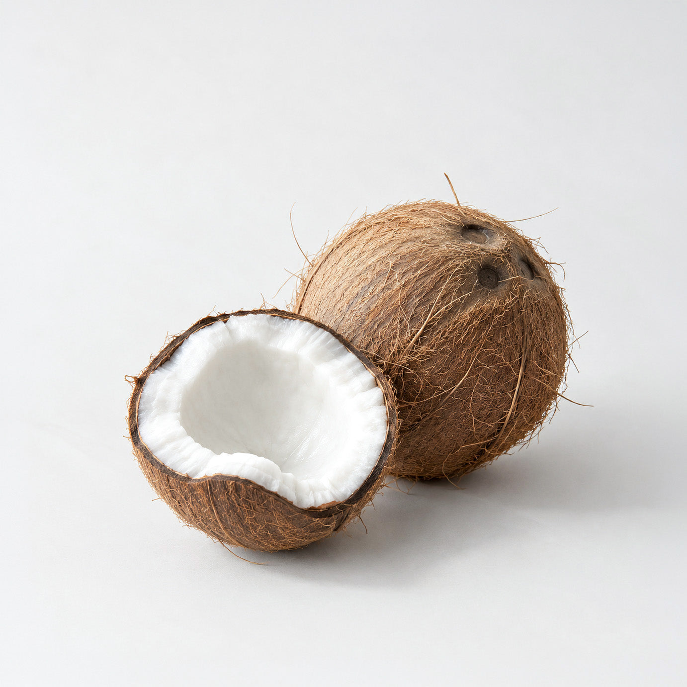 Notes of Rêverie fragrance note: Coconut