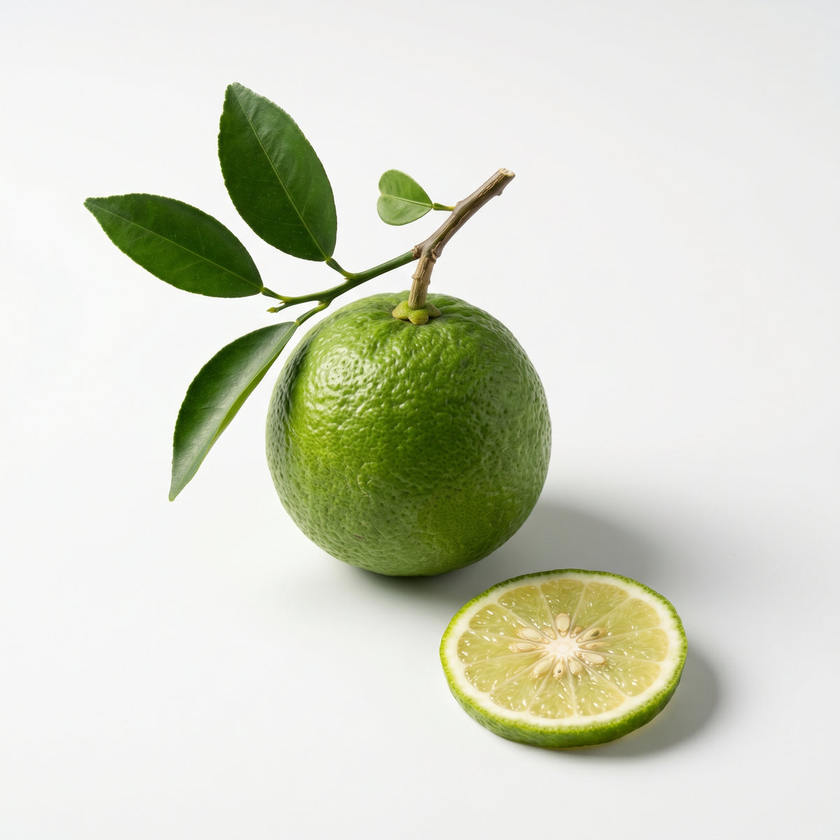 Cuir de Printemps fragrance note: Bergamot