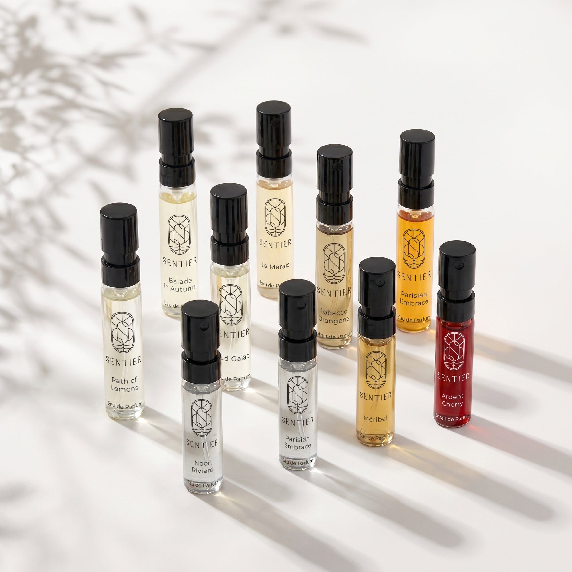 The Scent Library by Sentier